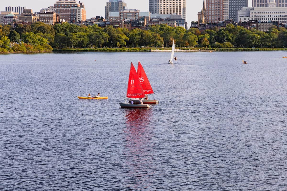 Żaglówki z czerwonymi żaglami i kajakarze na Charles River z panoramą Bostonu i zielonymi drzewami w tle.