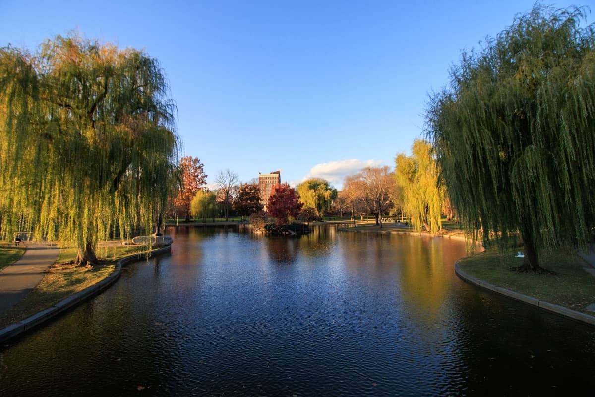 Staw w Boston Public Garden w świetle późnego popołudnia, jesienne kolory drzew, czyste błękitne niebo, spokojne ścieżki spacerowe wzdłuż wody.