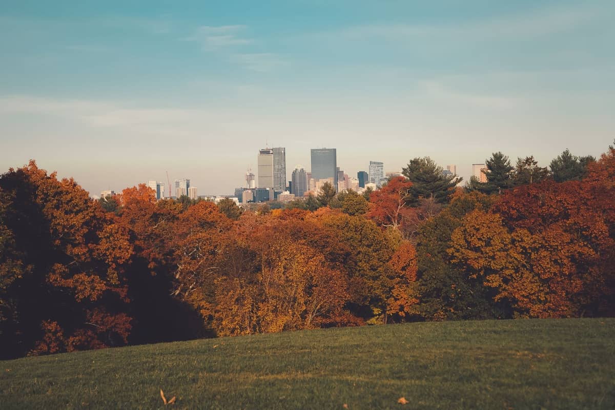 Skyline de Boston avec des arbres aux feuilles d'automne éclatantes et un champ herbeux au premier plan sous un ciel dégagé