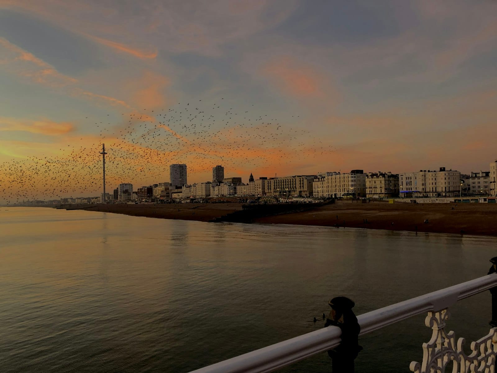 brighton travel destination