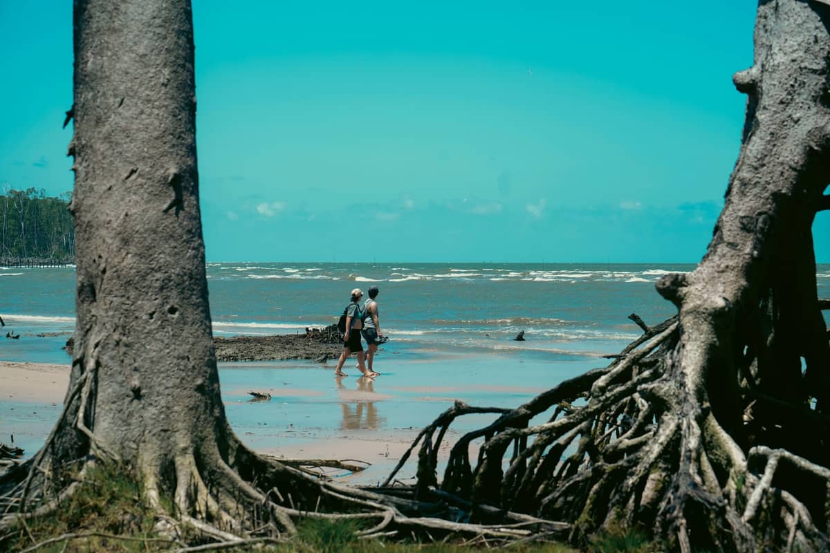 Couple walking on a natural sandy beach framed by pandanus tree roots, with gentle waves and blue sky in the background.