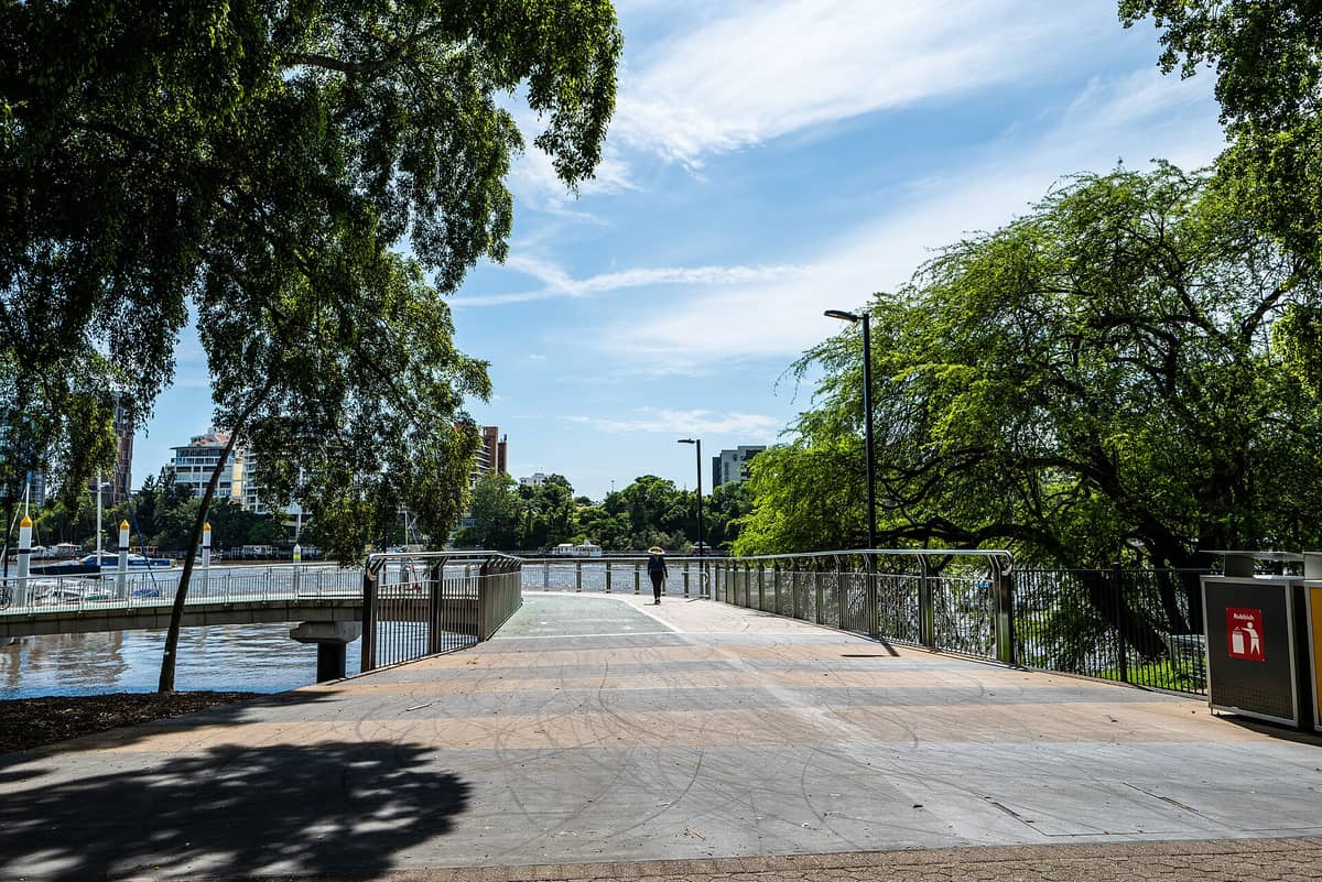 A riverside pathway in Brisbane’s City Botanic Gardens with a person walking on a bridge, lush green trees, and city buildings in the background.