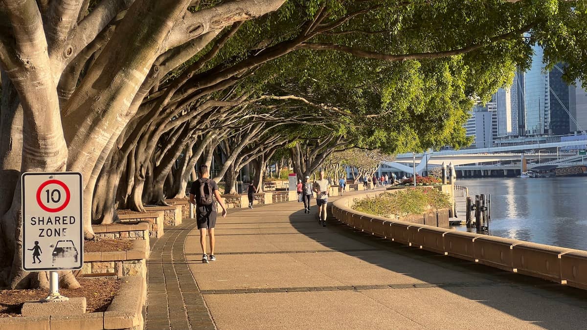 Baumgesäumter Uferweg in Brisbane mit Spaziergängern und Joggern am Flussufer, Stadtsilhouette und Brücken im Hintergrund sichtbar.
