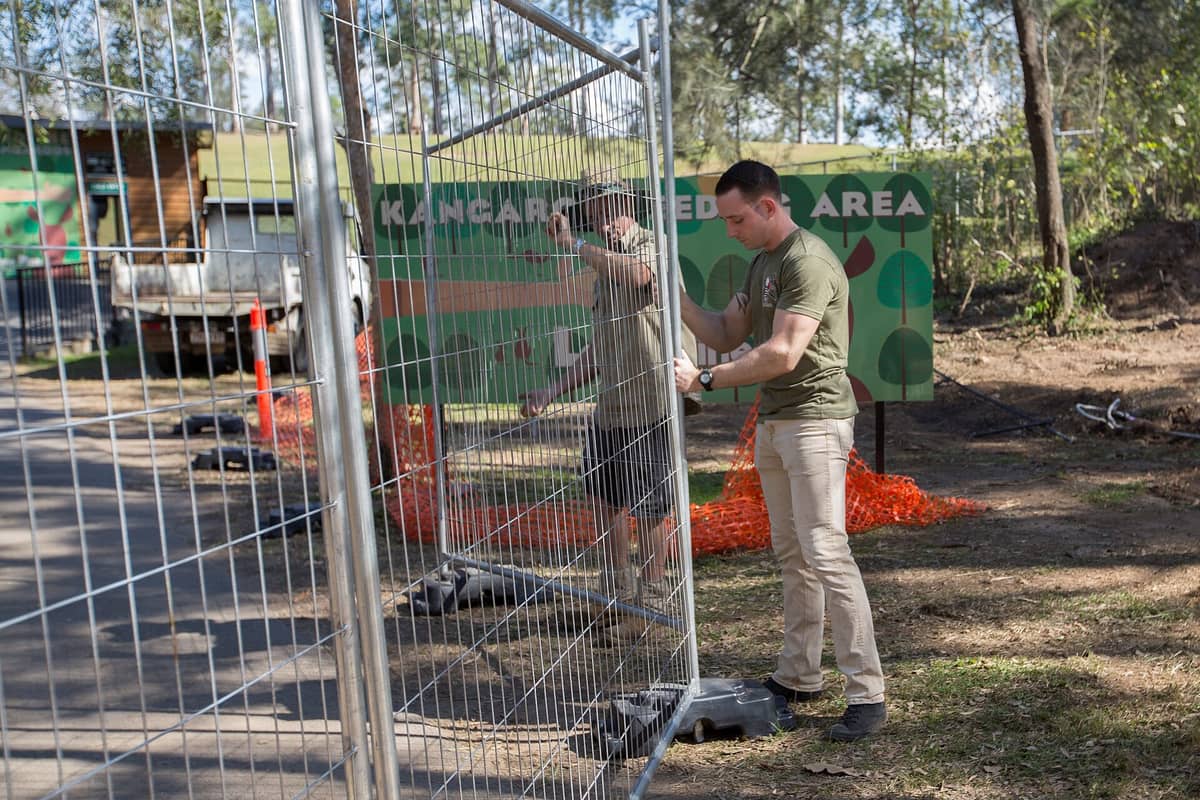 Zwei Mitarbeiter beim Aufstellen eines Zauns im Känguru-Fütterungsbereich eines Wildtierreservats in Brisbane, mit grünen Hinweisschildern im Hintergrund.