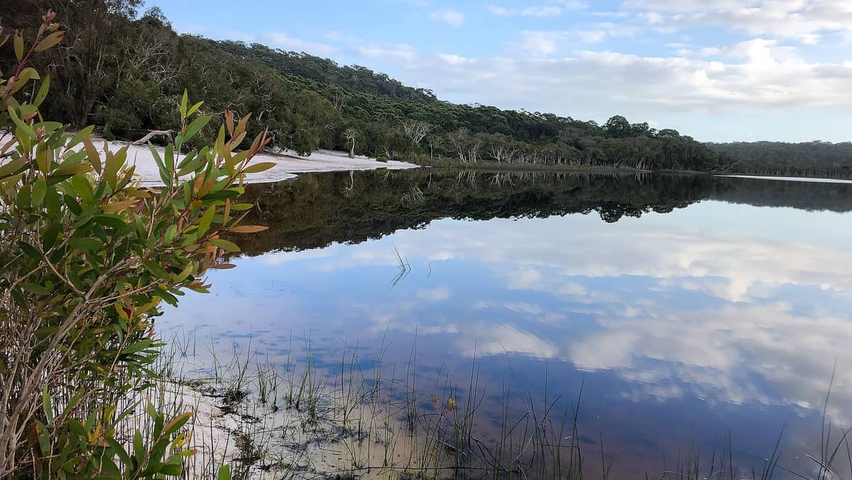 Brown Lake auf North Stradbroke Island mit weißem Sandufer, Teebäumen und klaren Spiegelungen von Himmel und Wald im ruhigen Süßwasser.