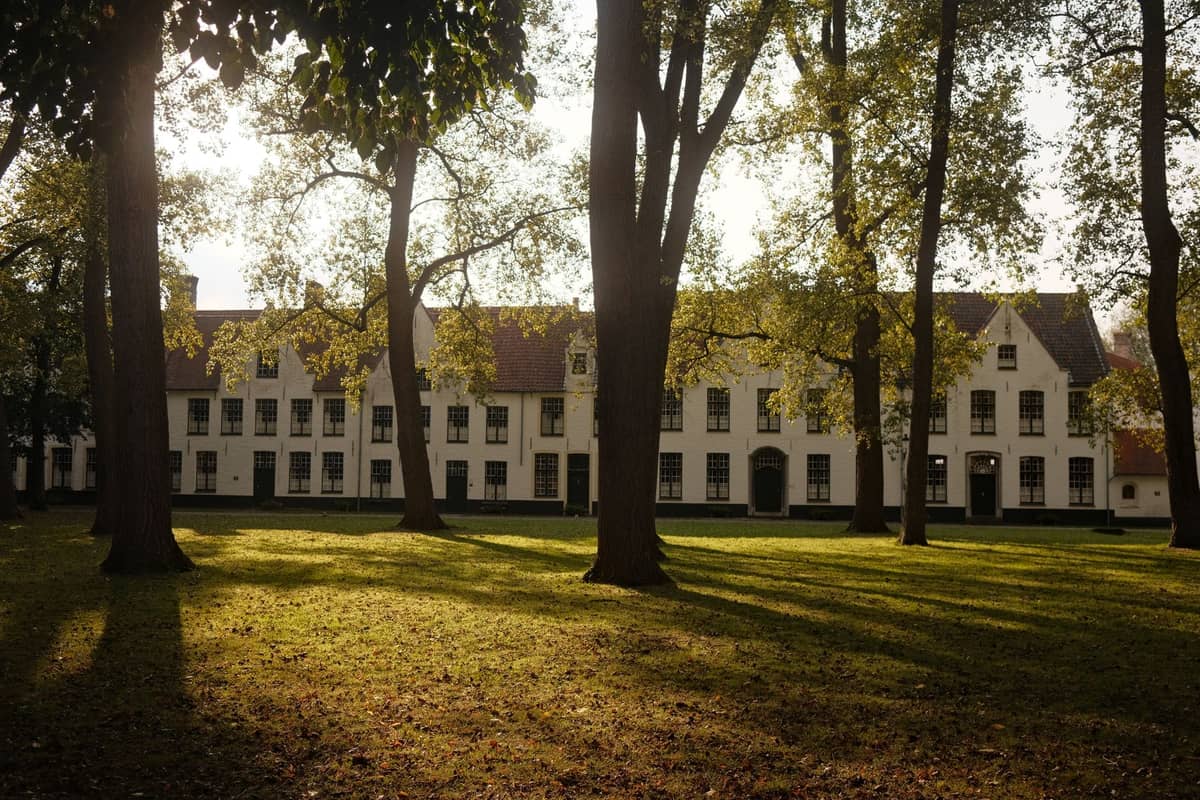 Historic Bruges almshouses with white facades seen behind a sunlit, tranquil courtyard shaded by tall trees.