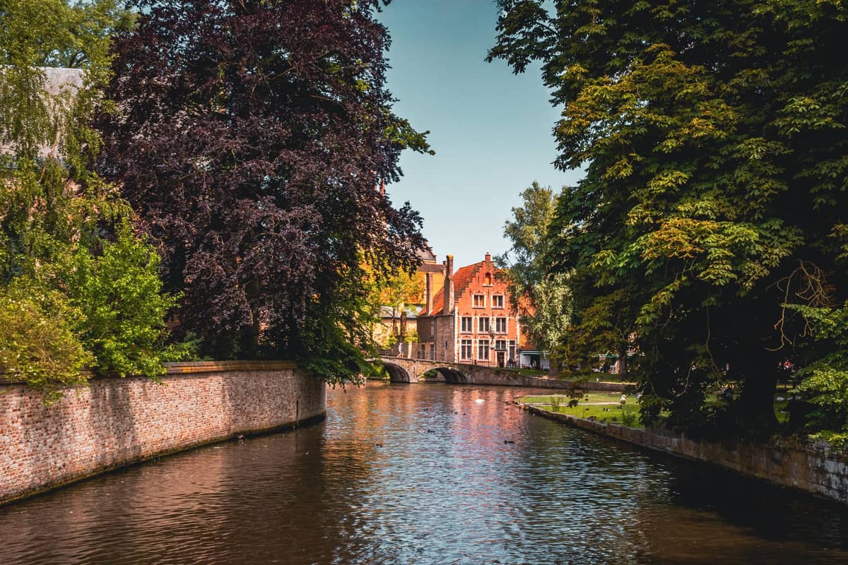 Wide canal in Bruges lined with green trees and historic brick buildings, with a small stone bridge in the background.