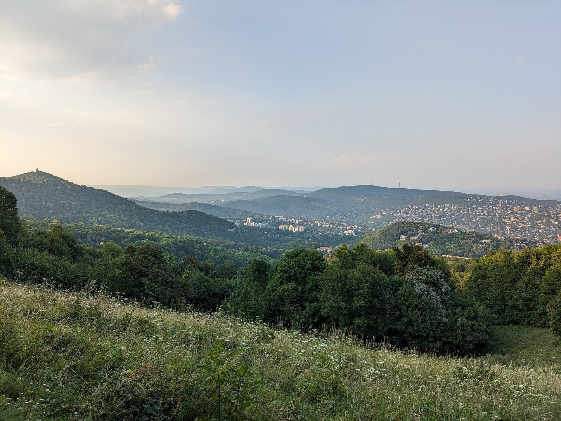 Vista panoramica sulle verdi colline di Buda e Normafa, con edifici cittadini in lontananza e colline ondulate sotto un cielo morbido e sereno.