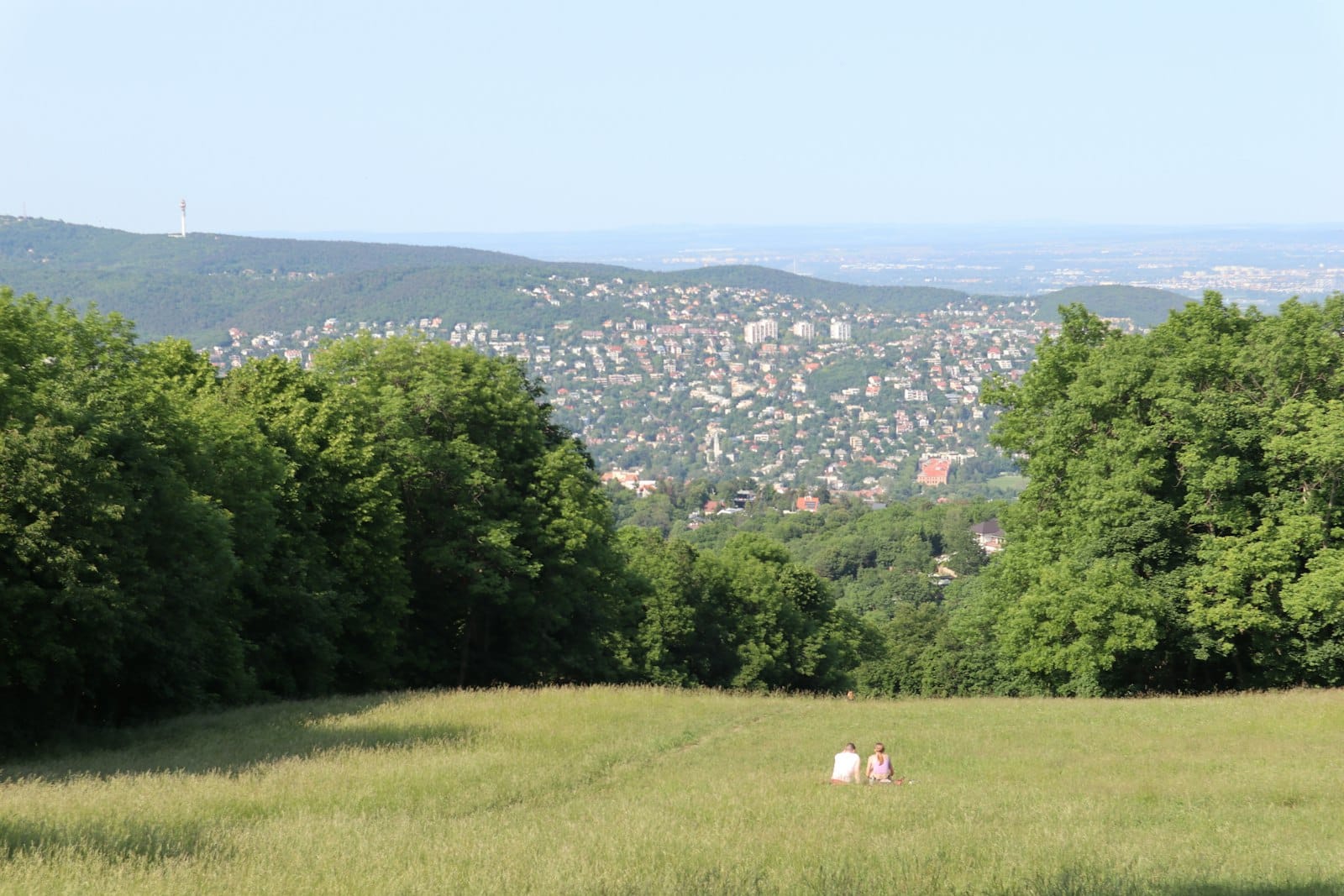 Blick über grüne Wiesen und Wald in den Budaer Bergen mit der Stadt Budapest in der Ferne unter klarem blauem Himmel.