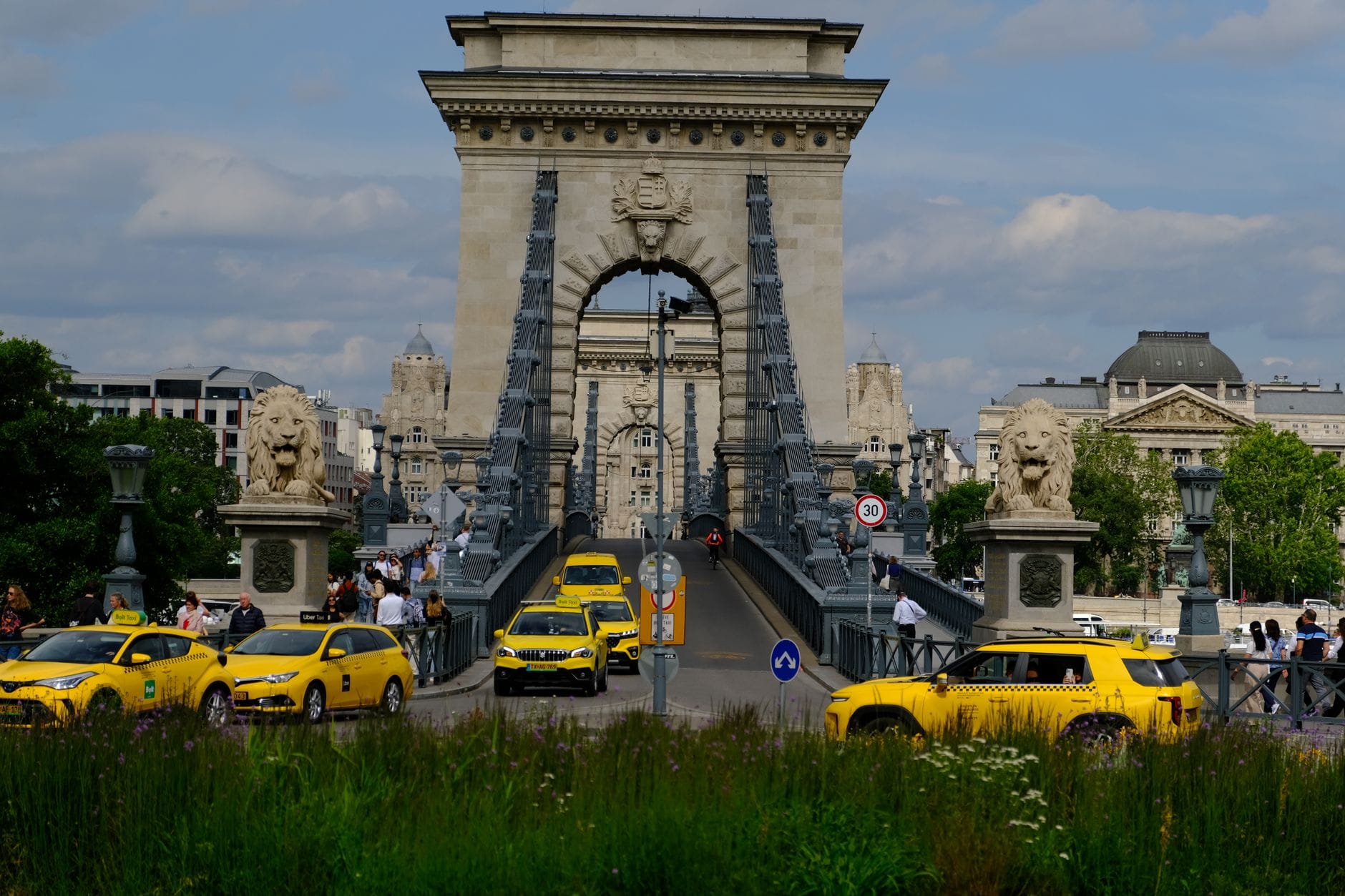 Mehrere gelbe Taxis überqueren Budapests ikonische Kettenbrücke, im Hintergrund historische Architektur und Grünflächen.