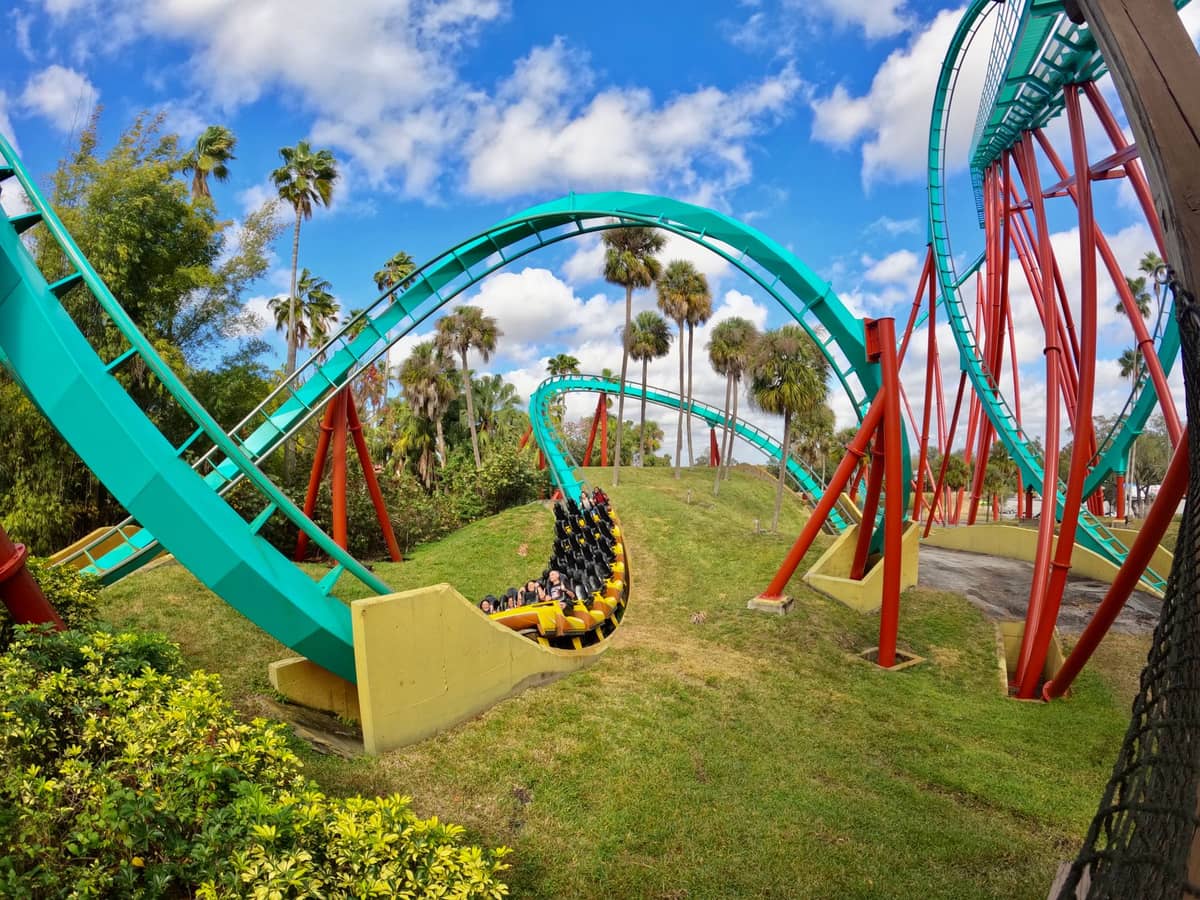 Eine leuchtend grüne Achterbahn schlängelt sich unter strahlend blauem Himmel durch Palmen im Busch Gardens Tampa Bay – ein Bild voller Adrenalinkicks.