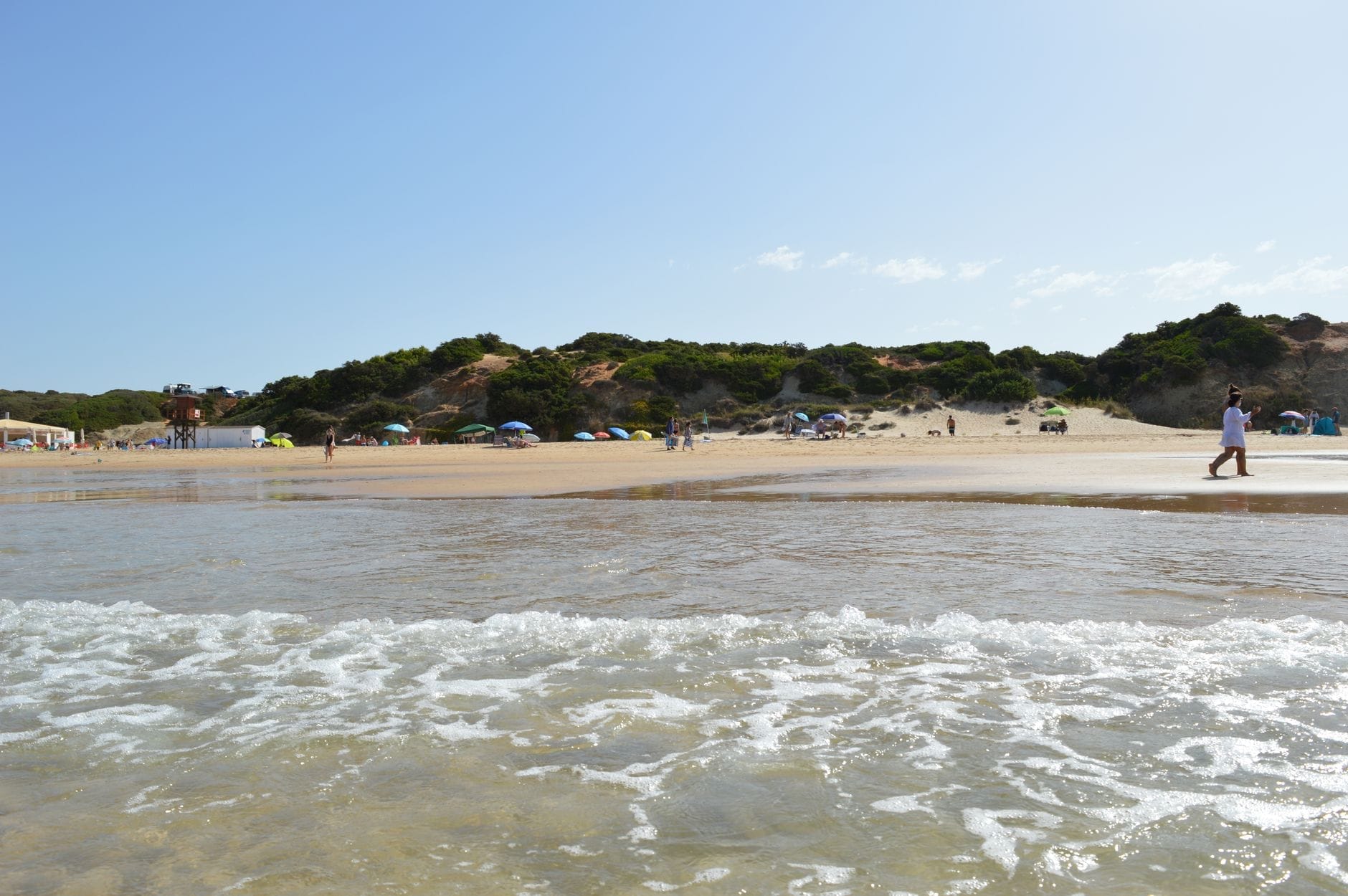 Ampia spiaggia sabbiosa con onde gentili, persone che passeggiano, ombrelloni colorati e basse dune coperte di pini verdi sullo sfondo sotto un cielo sereno.