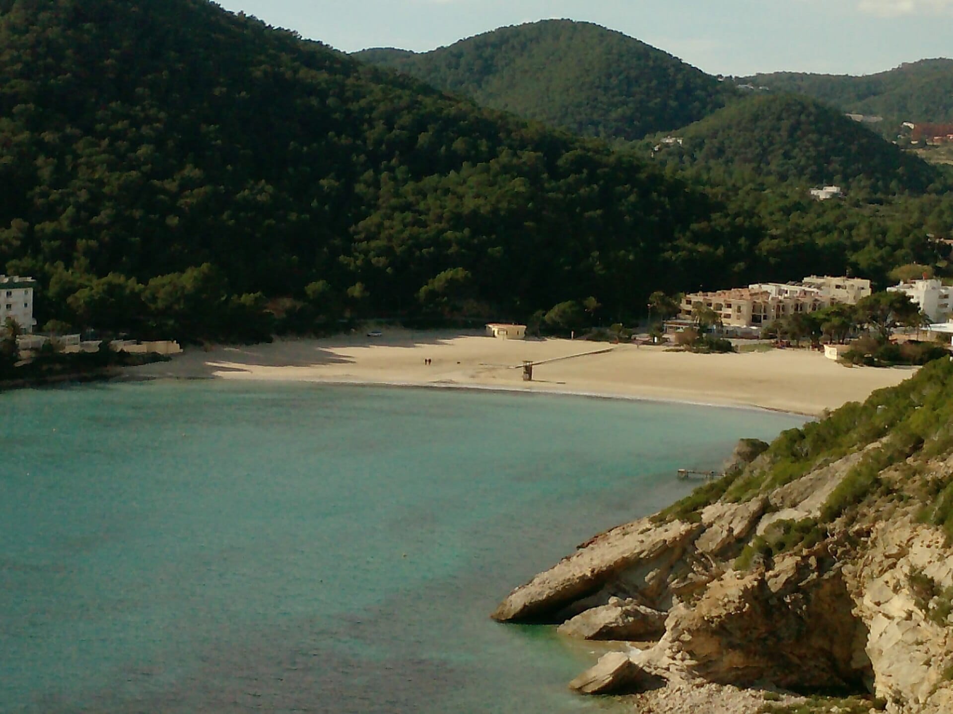 La spiaggia di Cala Llonga con acqua turchese, riva sabbiosa, colline ricoperte di pini e alcuni edifici bianchi in lontananza durante il giorno.