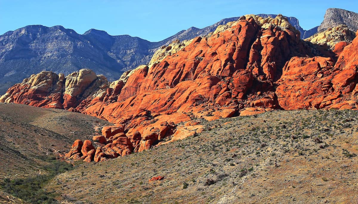 Bukit batu pasir merah dan krem berpola di Calico Hills dengan latar gurun berbatu dan pegunungan di bawah langit biru cerah di Red Rock Canyon.