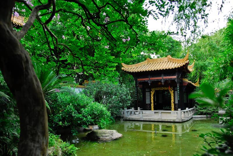 Traditional pavilion with golden roof reflected in a tranquil pond, surrounded by lush greenery at Canton Orchid Garden in Guangzhou.