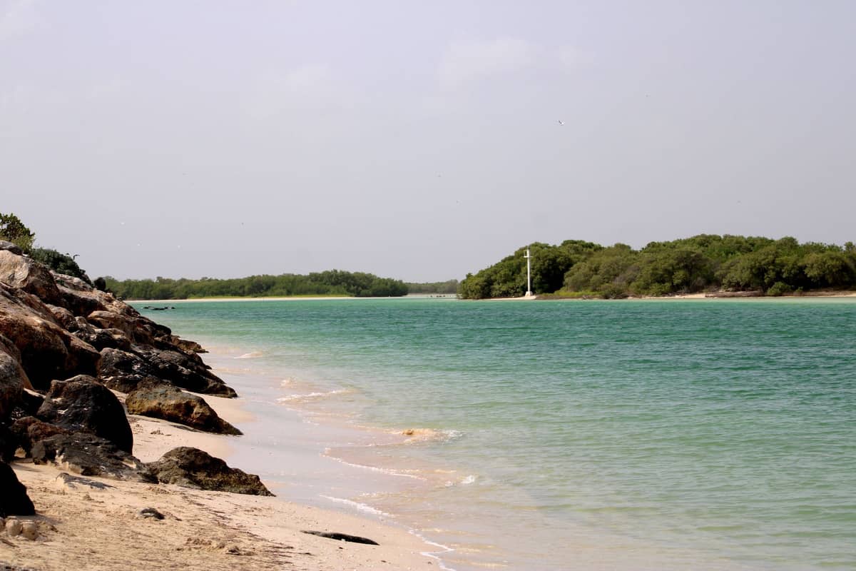 A sandy beach with rocks and calm turquoise water, with green vegetation and a distant boat, resembling the shorelines near Cartagena and Tierra Bomba.