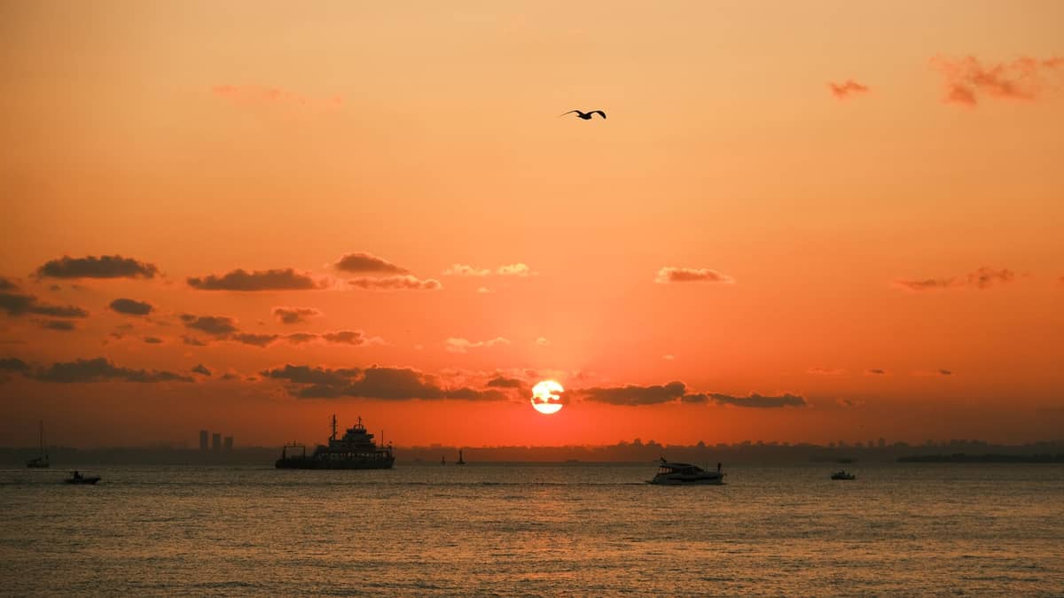 Sunset over Cartagena Bay with boats on the water and a bird flying across an orange sky.
