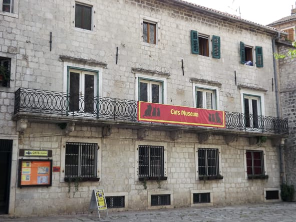 Facciata in pietra del Cats Museum a Kotor, con uno striscione rosso del Cats Museum appeso a un balcone sopra l'ingresso.