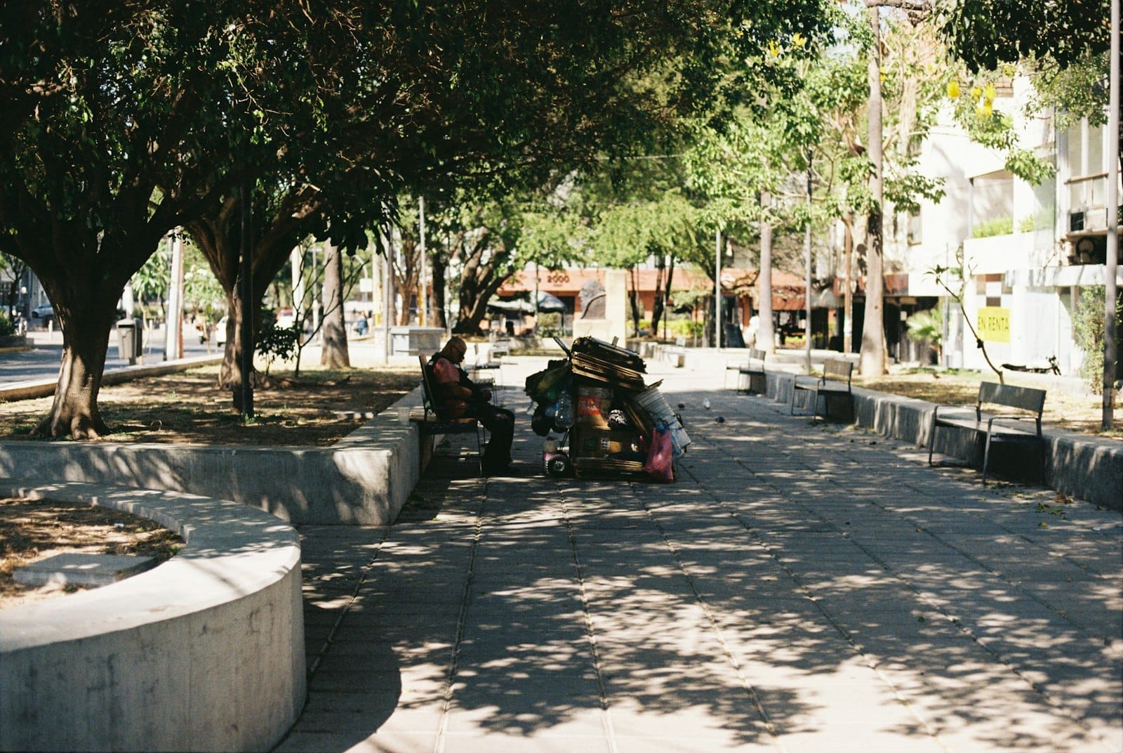 ถนนคนเดินร่มรื่นต้นไม้บน Avenida Chapultepec มีม้านั่งคอนกรีต แสงแดดส่องผ่านใบไม้ และผู้คนพักผ่อนในวันที่อบอุ่น