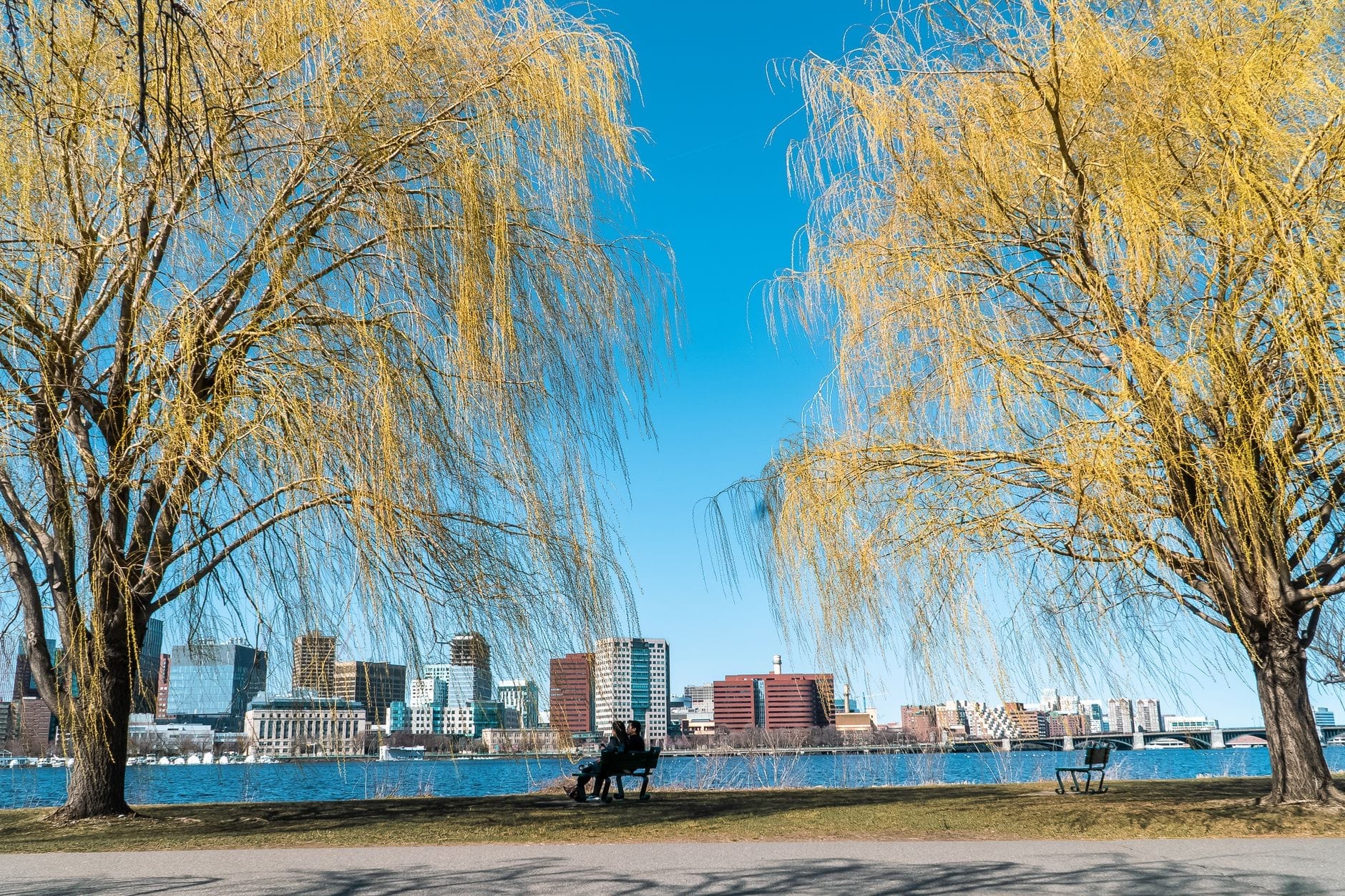 Due grandi salici incorniciano panchine e un vialetto affacciati sul fiume Charles, con la skyline di Boston sullo sfondo in una giornata di sole.