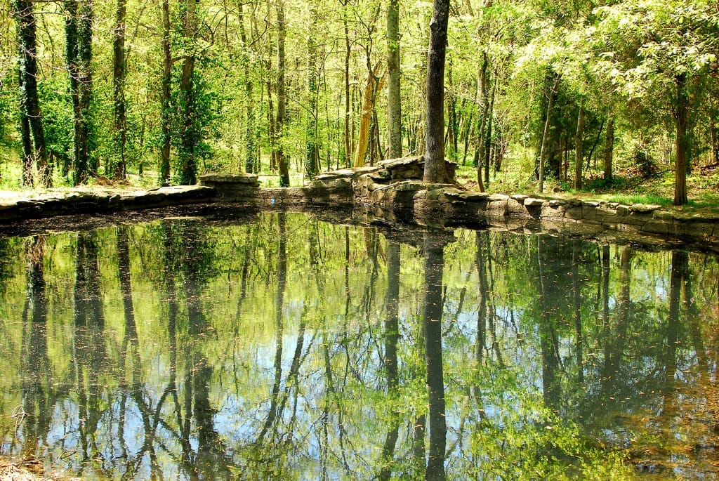 Un estanque tranquilo en Cheekwood Estate & Gardens que refleja árboles altos y verdes con bordes de piedra en un soleado día de primavera.