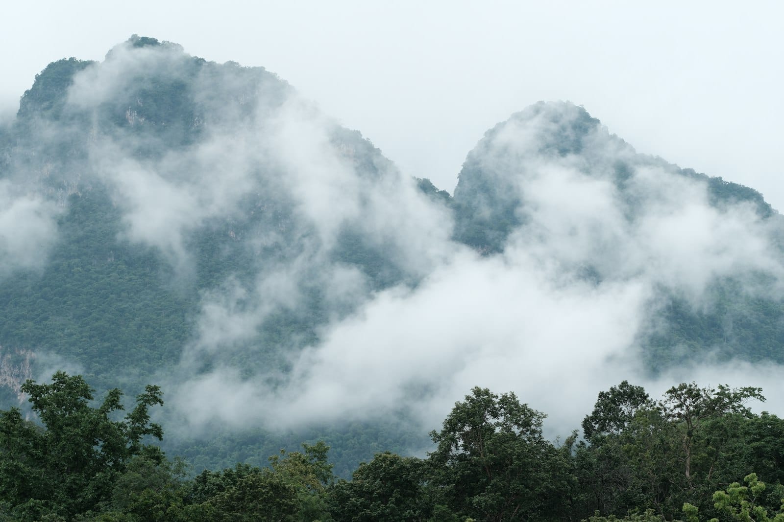 Montañas de karst calizo envueltas en niebla con exuberantes árboles verdes en primer plano, que evocan la serena y natural belleza de Chiang Dao.