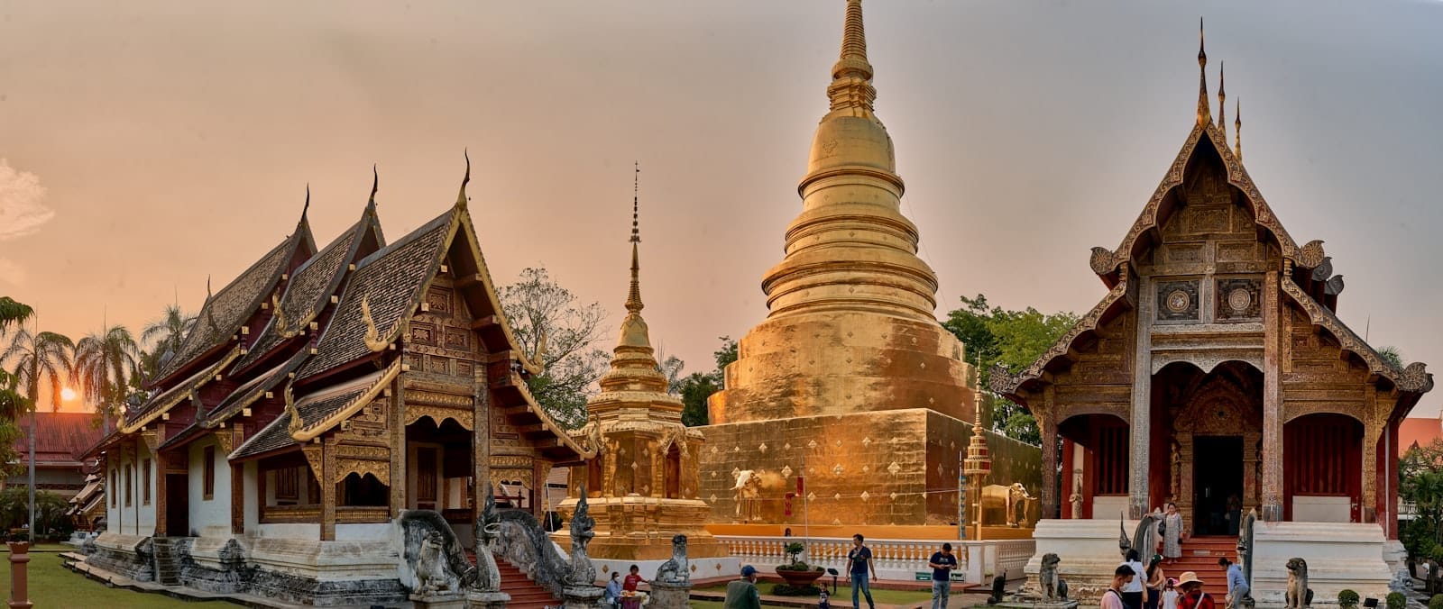 Vista panorámica del complejo del templo Wat Phra Singh en Chiang Mai con elaboradas salas de madera y un gran chedi dorado al atardecer con visitantes explorando.