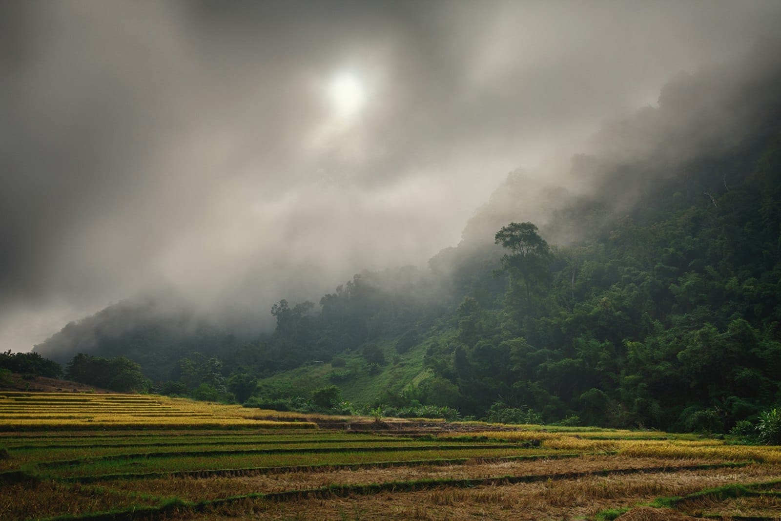 Mây đen và khói che khuất mặt trời trên những thửa ruộng bậc thang và sườn đồi xanh tươi tốt gần Chiang Mai trong mùa đốt đồng.