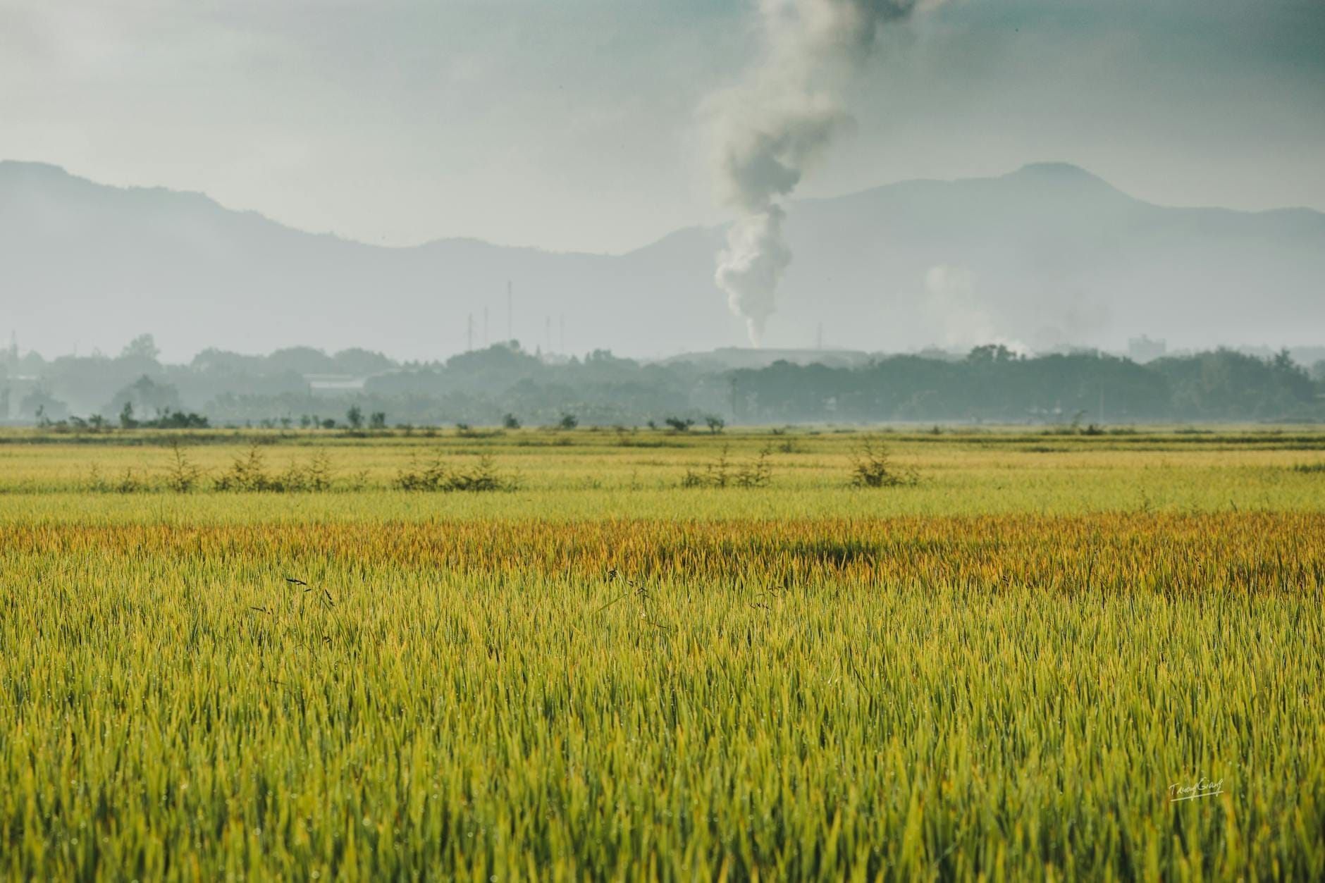 Una columna de humo se eleva desde campos en llamas con montañas lejanas y zonas boscosas, ilustrando la quema agrícola cerca de Chiang Mai.