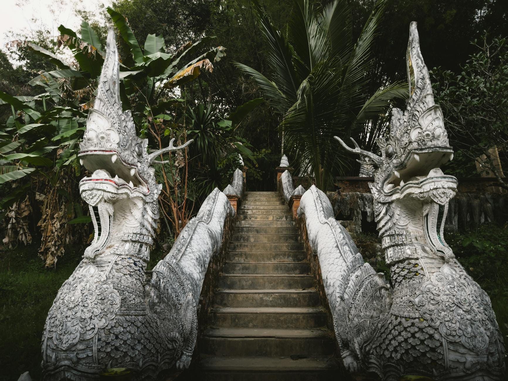 Cầu thang đá hình rắn naga dẫn lên qua tán cây rừng rậm, gợi lên lối vào một ngôi đền ẩn giấu trong khu vực rừng rậm bên ngoài Chiang Mai.