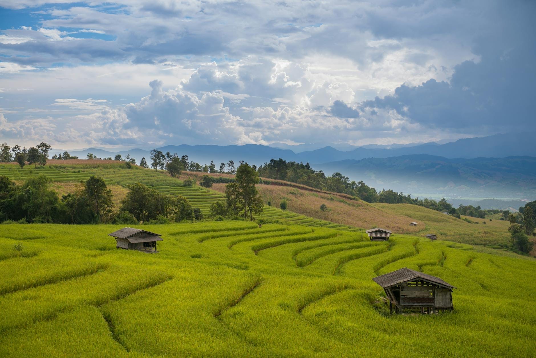 Vista panorámica de las exuberantes terrazas de arroz de Chiang Mai bajo un cielo dramático, con montañas al fondo y cabañas de madera dispersas entre los campos.