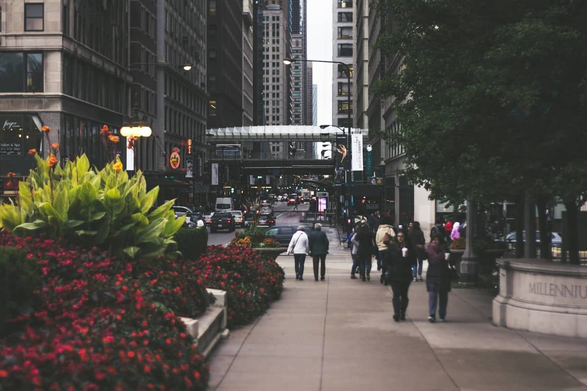 Marciapiede nel centro di Chicago con persone che camminano, fiori in primo piano e alti edifici lungo la strada.