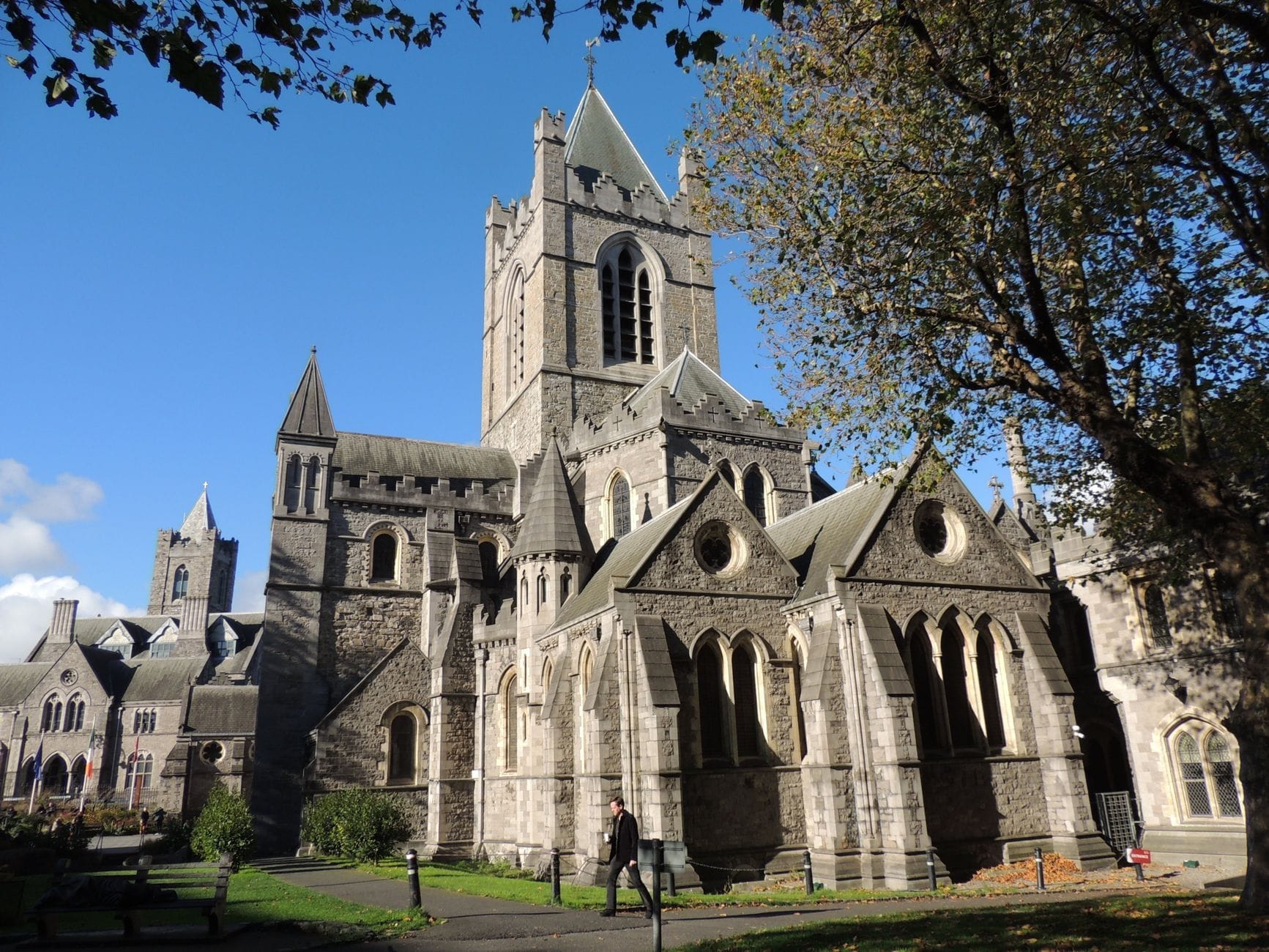 Christ Church Cathedral a Dublino illuminata dal sole, con l'architettura gotica in pietra, la torre imponente e gli alberi frondosi che incorniciano lo storico edificio in una giornata serena.
