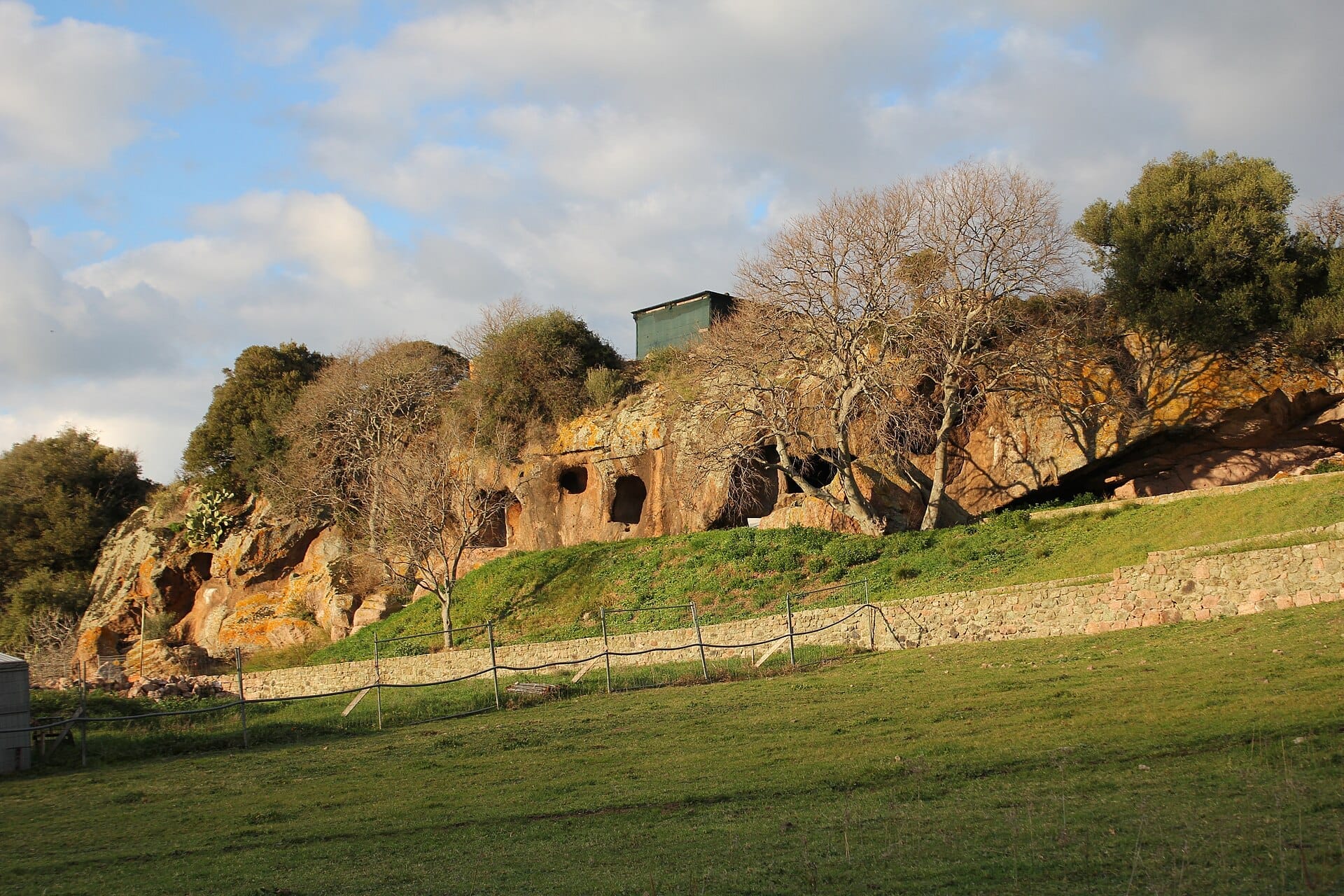 Blick auf die Nekropole des Complesso di Sant'Andrea Priu mit in den Fels gehauenen Graböffnungen, grünem Gras, blattlosen Bäumen und einem teils bewölkten Himmel.