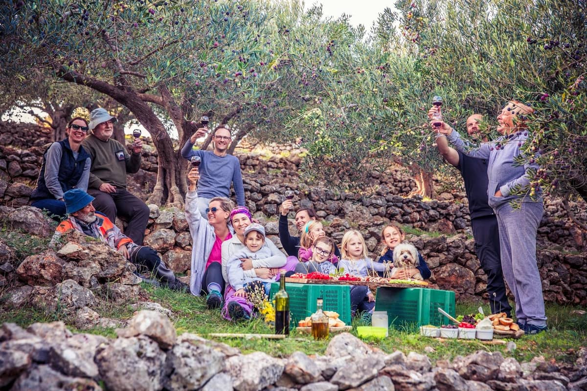 Un gruppo di persone che si godono un picnic con vino e cibo sotto gli ulivi in un paesaggio rurale a terrazze.