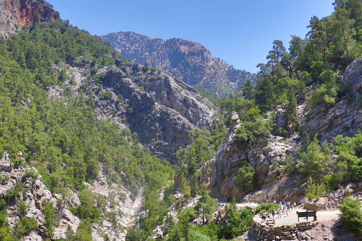 Vista ampia di una drammatica gola rocciosa fiancheggiata da pini nelle Montagne Bianche di Creta, con escursionisti che camminano lungo un pittoresco sentiero di montagna.