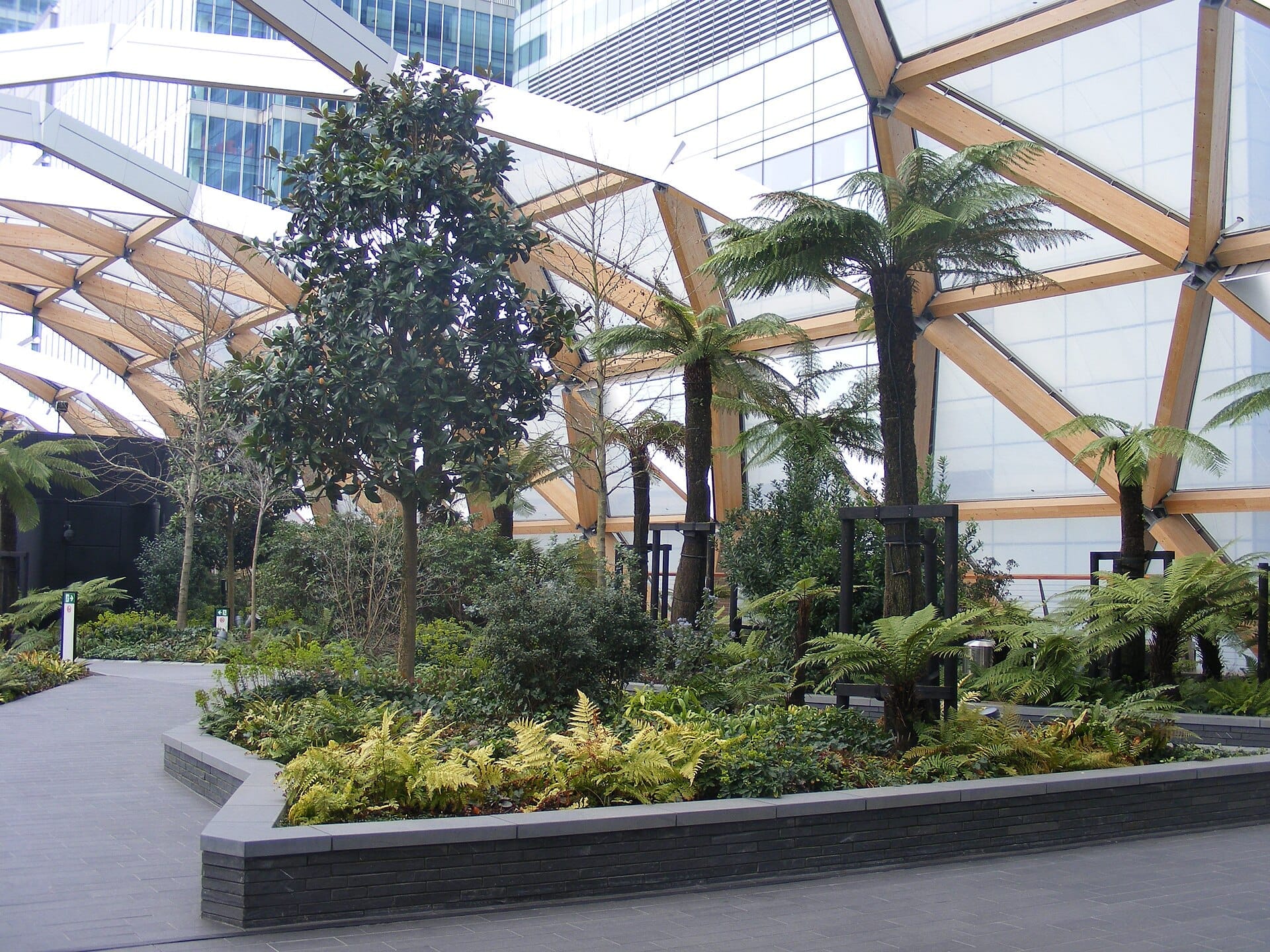 Rigogliosa vegetazione, felci e alberi prosperano sotto la copertura in legno e vetro del Crossrail Place Roof Garden a Canary Wharf, Londra.
