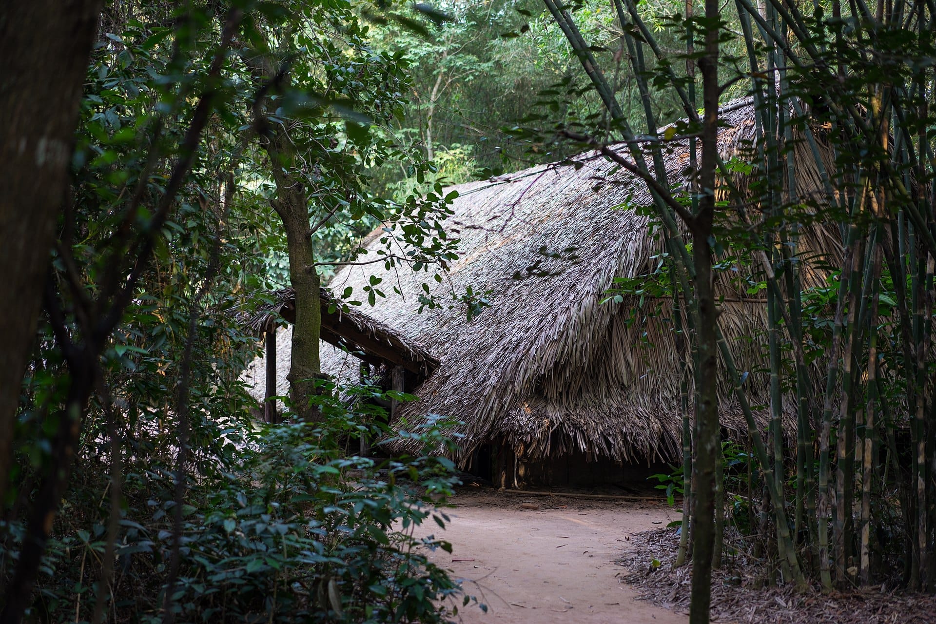 Cabaña tradicional con techo de paja rodeada de densa vegetación verde en Củ Chi, con bambú y árboles frondosos enmarcando un sendero de tierra a la luz del día.
