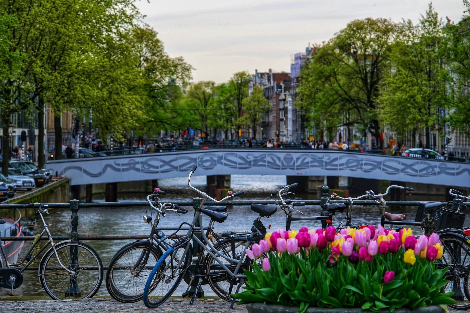 Bicicletas aparcadas junto a un canal con tulipanes en flor y un puente en el centro de Amsterdam en un luminoso día de primavera