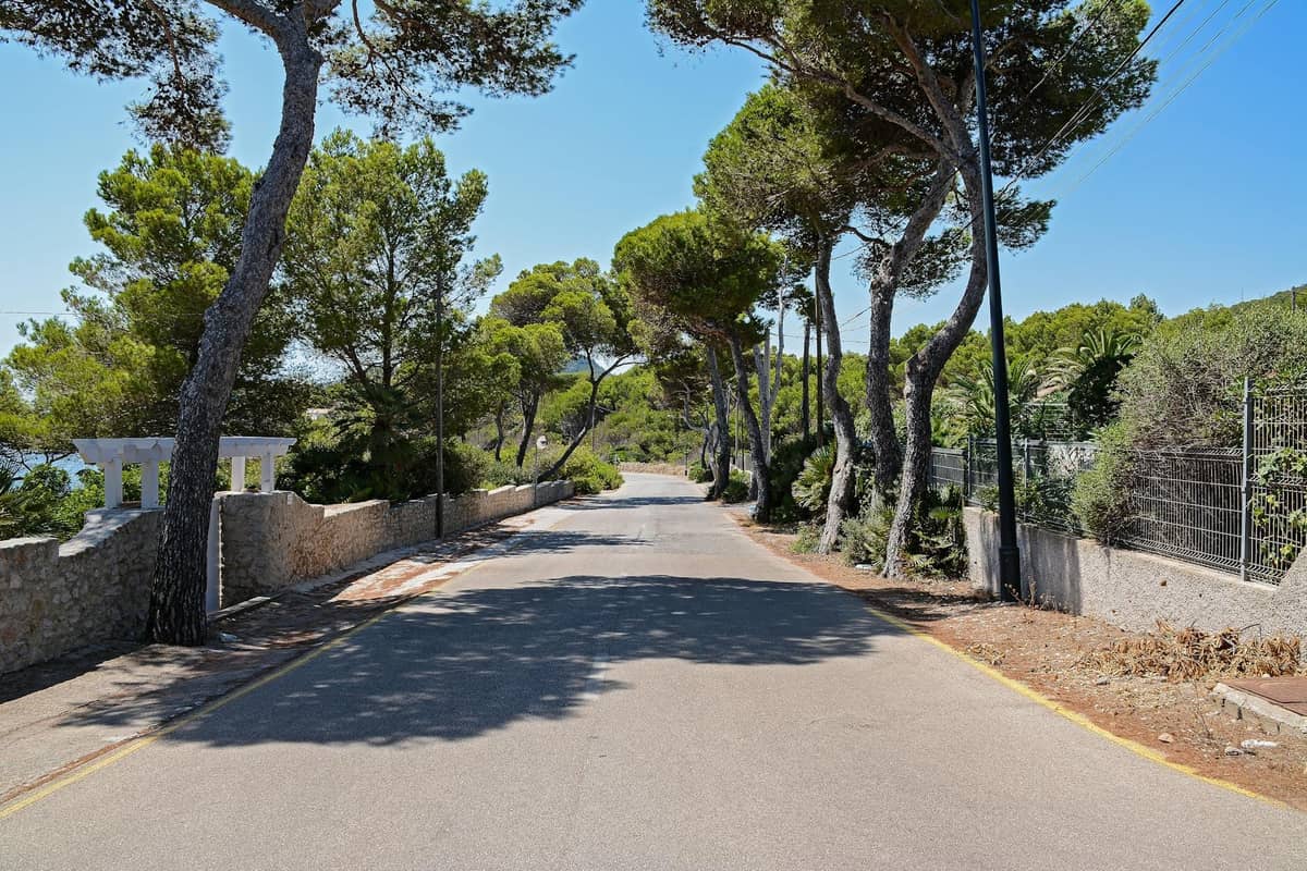 Route côtière bordée d'arbres et ensoleillée à Mallorca avec de douces courbes et un ciel dégagé, idéale pour le cyclisme sur des itinéraires plats.