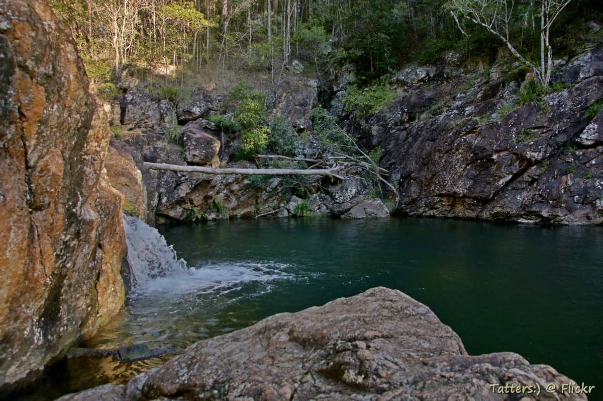 Ein ruhiger Felstümpel, umgeben von zerklüfteten Klippen und dichtem Wald im D'Aguilar National Park, der natürliches Licht und tiefgrünes Wasser widerspiegelt.