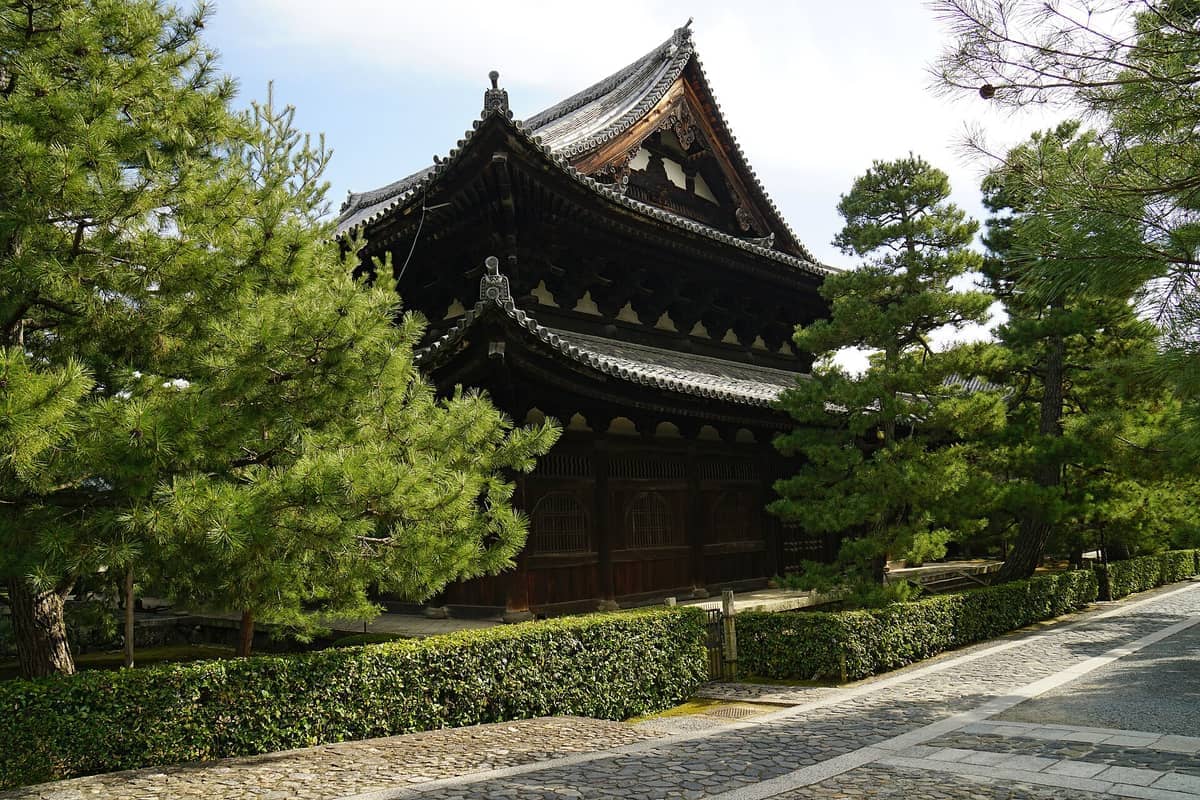 Traditional wooden Daitoku-ji temple building framed by lush pine trees and a stone walkway on a sunny day in Kyoto.