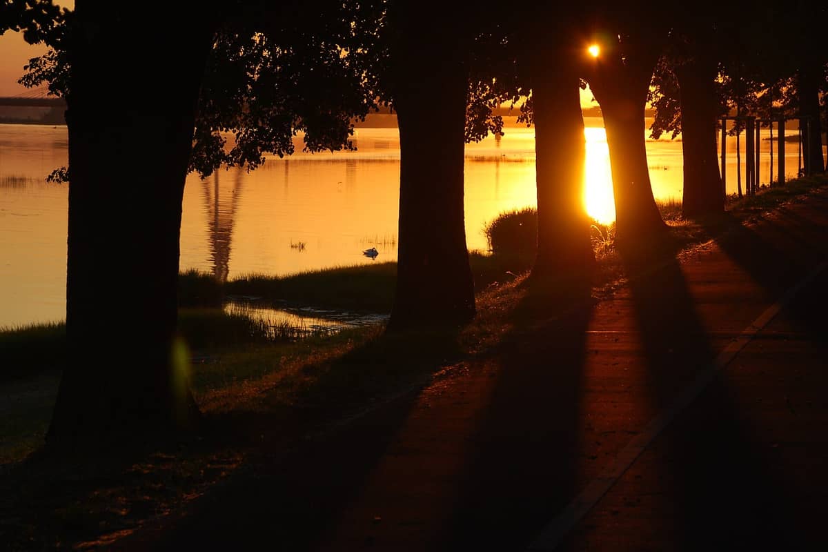 Sonnenuntergang an der Daugava-Promenade in Riga mit baumgesäumtem Weg, goldenem Licht und ruhigem Wasser.