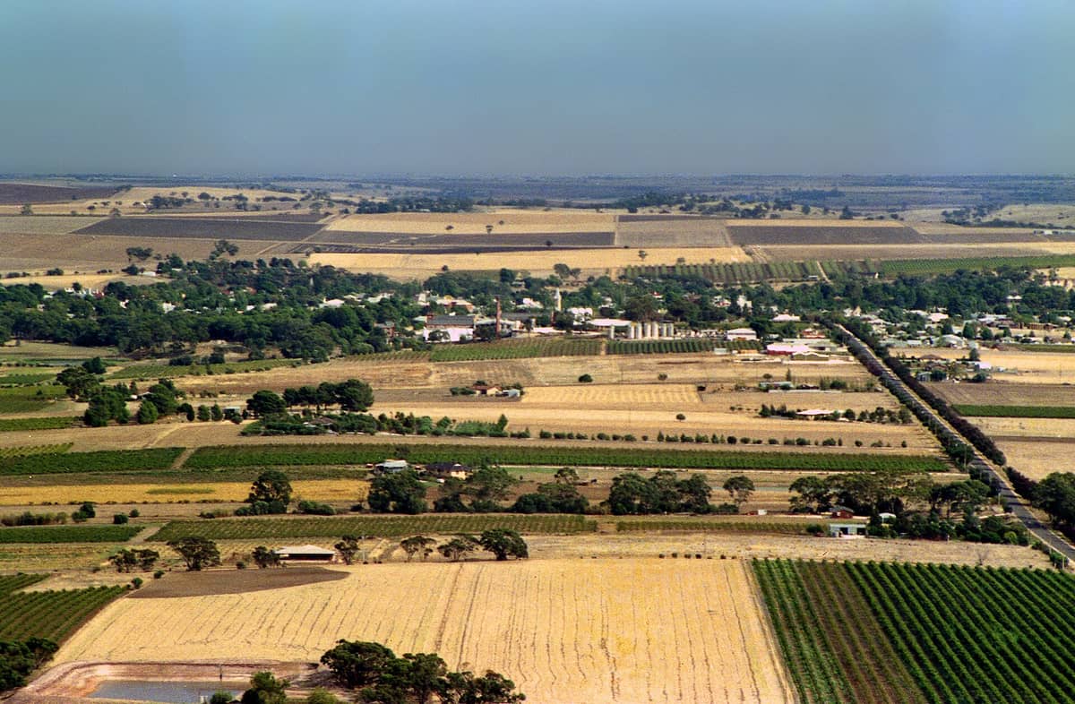 Aerial view of Barossa Valley vineyards and farmland with a township and patchwork of fields in South Australia.
