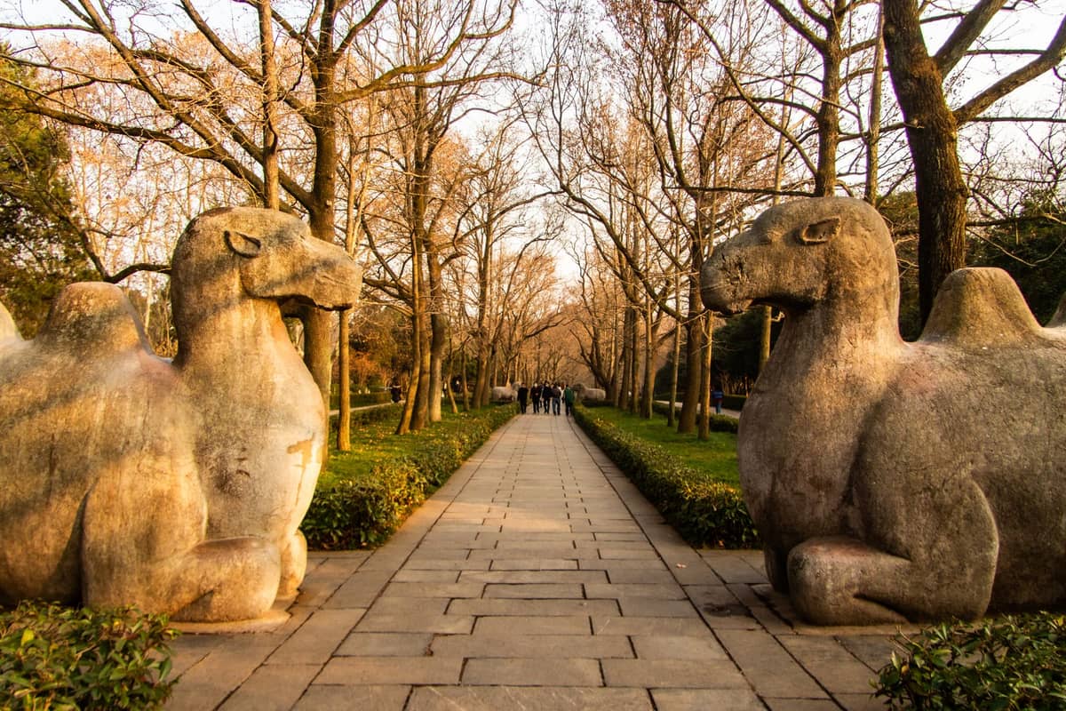 Cammelli di pietra fiancheggiano il Viale Sacro alberato che conduce alle Tombe Ming fuori Pechino, con visitatori che camminano in lontananza.