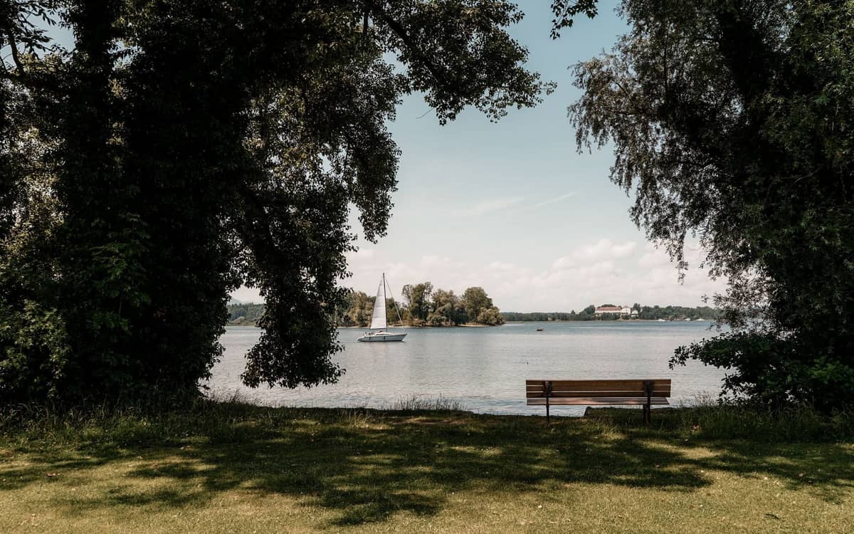 Seebank unter Bäumen mit einem Segelboot auf dem Wasser und einem fernen Ufer, das auf ruhige Naturausflüge in der Nähe von Berlin hindeutet.