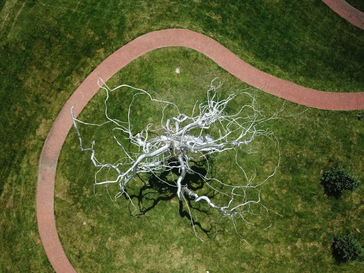 Yeşil bir park ortamında kıvrımlı tuğla yollarla çevrili çarpıcı gümüş ağaç heykelinin havadan görünümü.