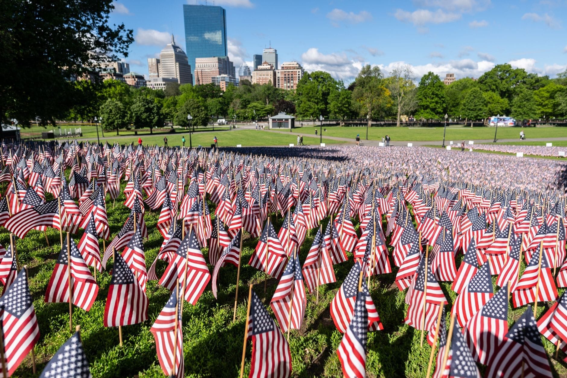 Centenas de bandeiras americanas fincadas no Boston Common com os arranha-céus do centro de Boston e árvores verdes visíveis em um dia ensolarado.
