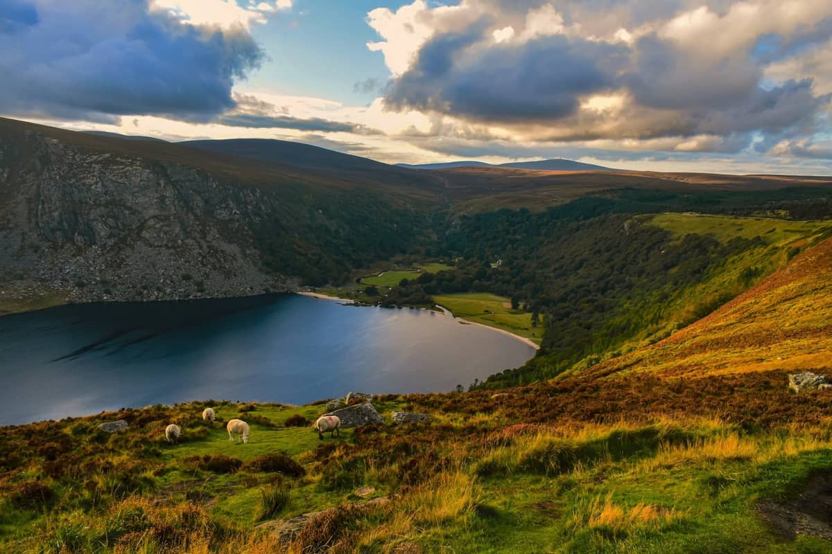Vista panorámica sobre Lough Tay con las dramáticas Wicklow Mountains, páramos y ovejas pastando bajo un cielo dramático al atardecer.