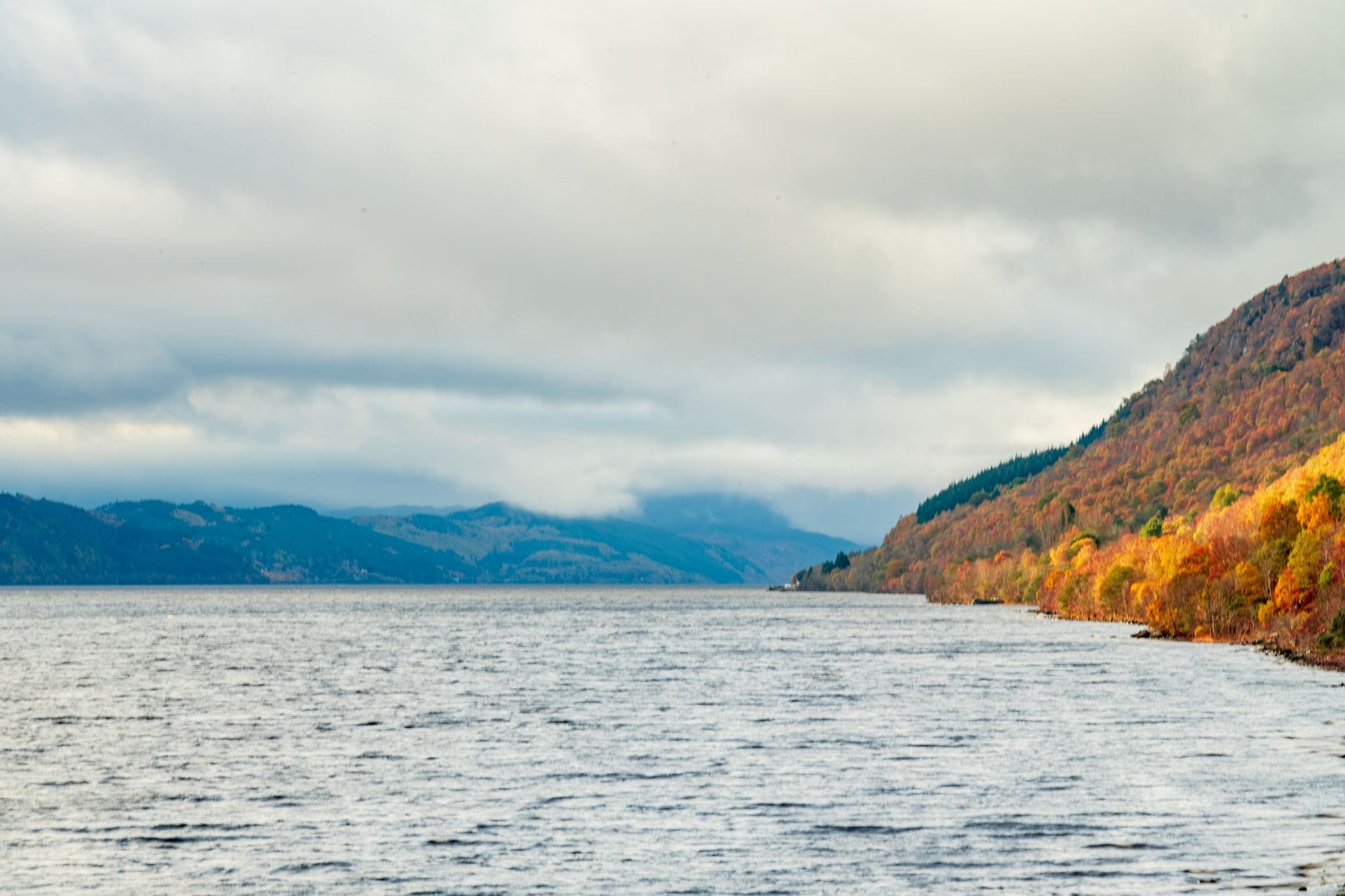 Vista panoramica del Loch Ness con foreste dai colori autunnali lungo la riva e lontane colline delle Highlands sotto un cielo nuvoloso.